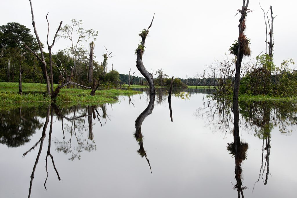 Quadro de Adriano Gambarini - Rio Xeruã, Amazônia