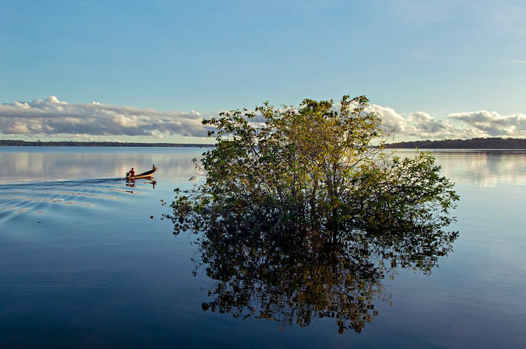 Quadro de Adriano Gambarini - Rio Arapiuns,Pará
