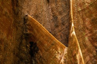 Quadro de Adriano Gambarini - Floresta Amazônica, Acre