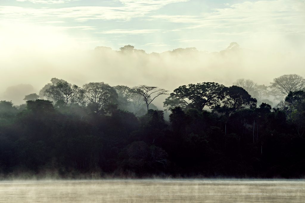 Quadro de Adriano Gambarini - Rio Juruena,Mato Grosso