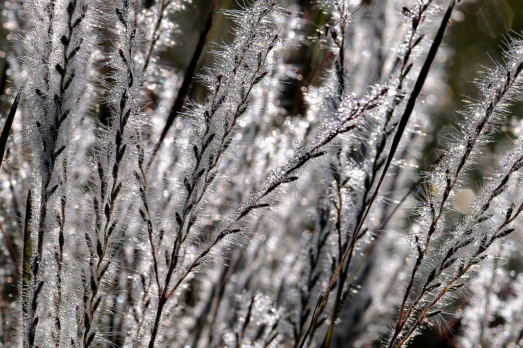 Quadro de Adriano Gambarini - Serra da Canastra, Minas Gerais