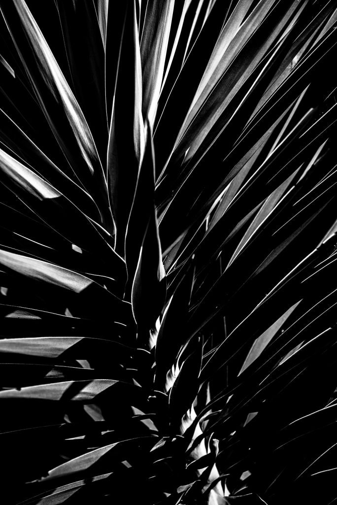 Quadro Carol Vargas - Vargem Alta, ES