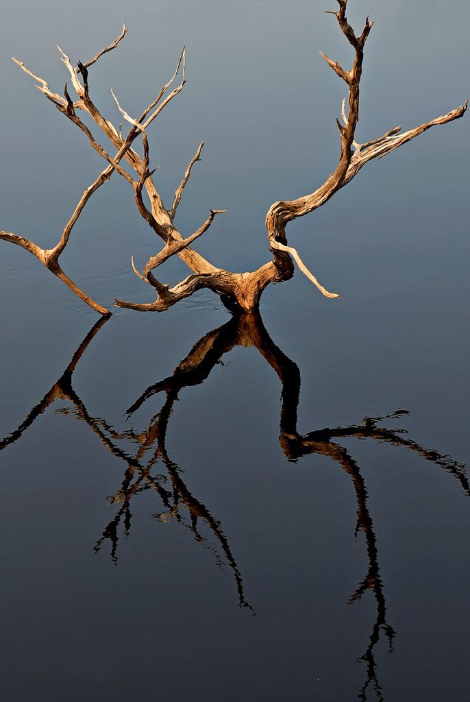 Quadro de Adriano Gambarini - Rio Negro, Amazonas