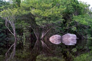 Quadro de Adriano Gambarini - Rio Negro, Amazônia