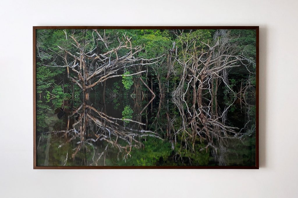 Quadro de Adriano Gambarini - Rio Negro, Amazônia