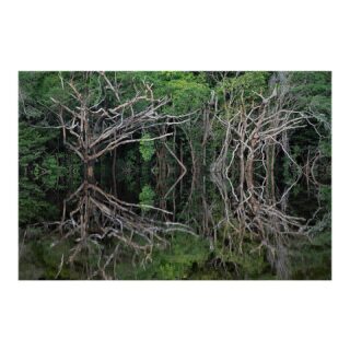 “Geminus” é uma série fotográfica sobre a relação entre o Rio e a Floresta Amazônica, território que Adriano Gambarini documenta há mais de 27 anos.

“Geminus” em latim significa “gêmeo, duplicado, igual”, como a escala e a repetição dos elementos que contemplam a floresta ao se encontrarem com o rio. 

—
Adriano Gambarini 
Geminus I, 2020
Rio Negro, AM

www.constancegaleria.com
#constancegaleria #adrianogambarini 
#florestaamazonica #rionegro #amazonia